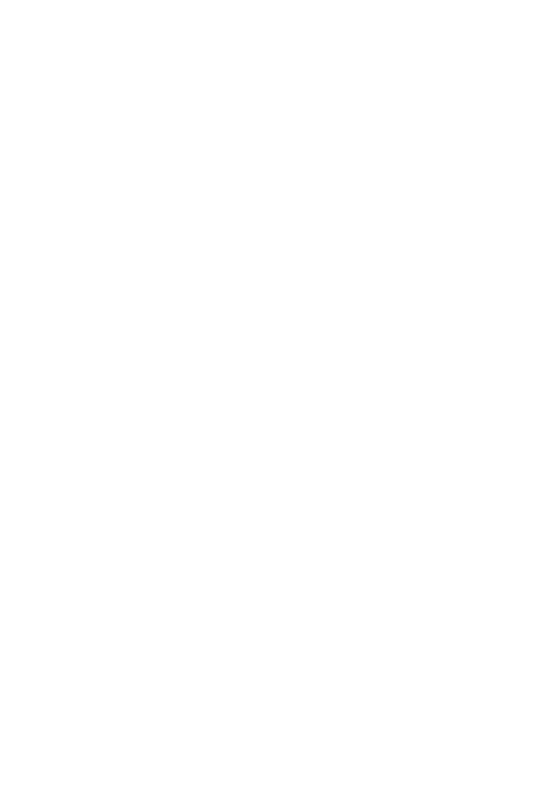 Bushido